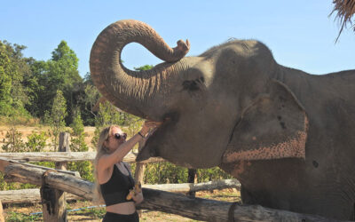 Siem Reap Temple Tour