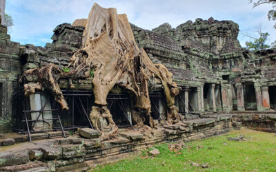 Amazing Siem Reap Tour