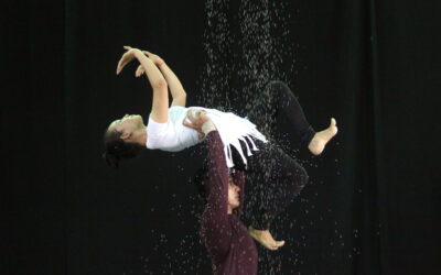 Siem Reap Phar Circus Show